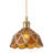 1-Dark brown glass iron dimmable pendant light