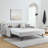 Twin Size Upholstery DayBed with Erectable Trundle and USB Charging-1996153449