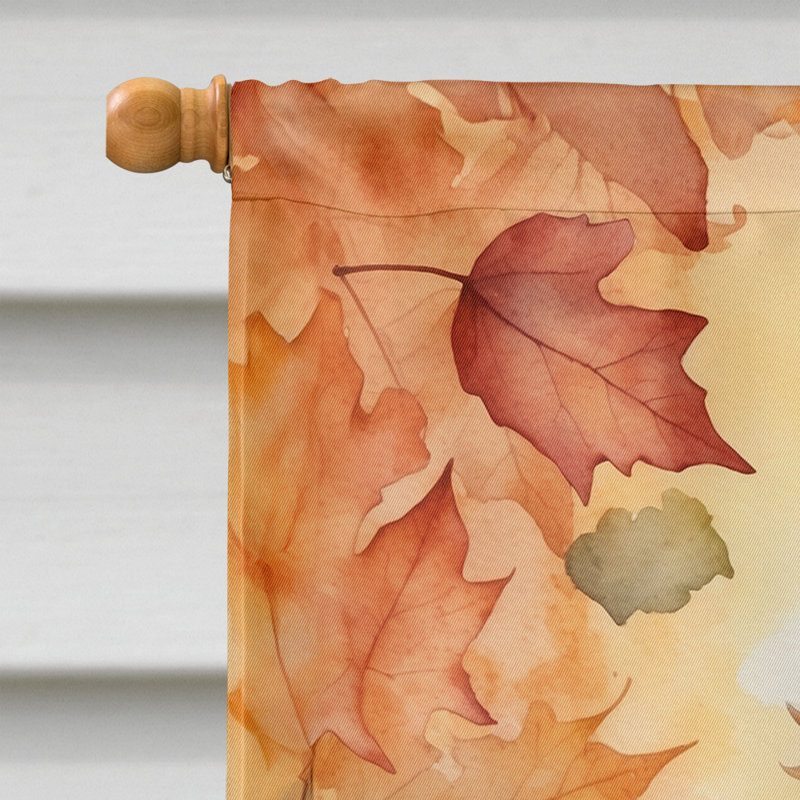 Chat en feuilles d'automne, La Perm