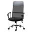 Alvine Mesh Desk Chair
