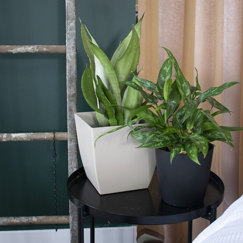 Aria Square Self Watering Planter, Black, 10.07" H x 10" W x 10" D