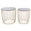 Kirtin Metal/Glass End Table