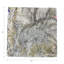 Serviettes de table en satin de coton Arcadia Cheetah