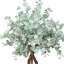 Silver Dollar Eucalyptus Tree in Stone Pot