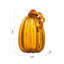Citrouille haute Luna