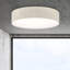 Parvin Flush Mount-1711114055-1711114052