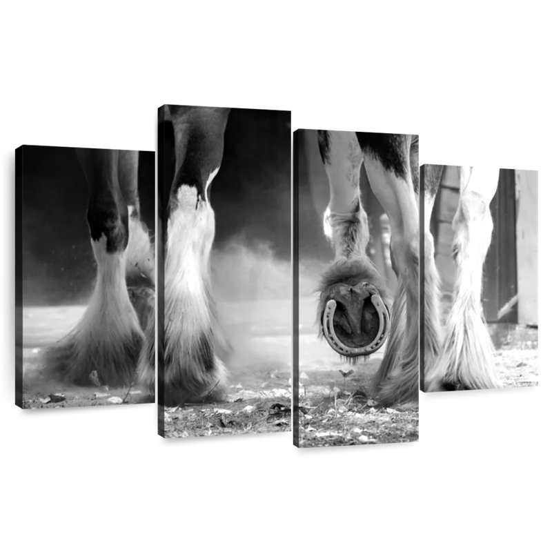 Clydesdale Horse Legs