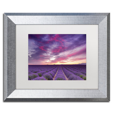 «Pink and Purple», impression sur toile encadrée