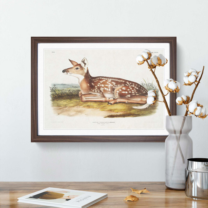 American Deer by J.W. Audubon - Single Picture Frame Painting, 24cm H x 33cm W x 2cm D, Walnut Framed