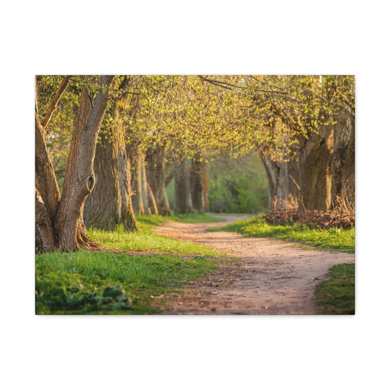No Frame Print on Canvas, 24cm H x 30cm W
