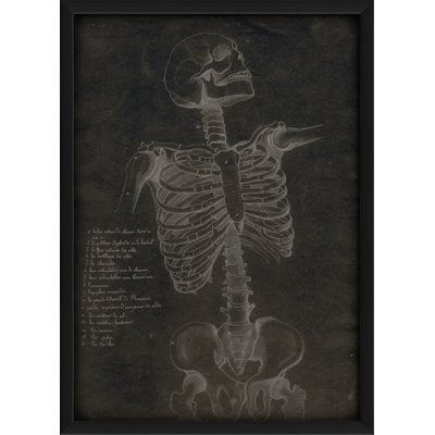 « skeleton front », impression encadrée