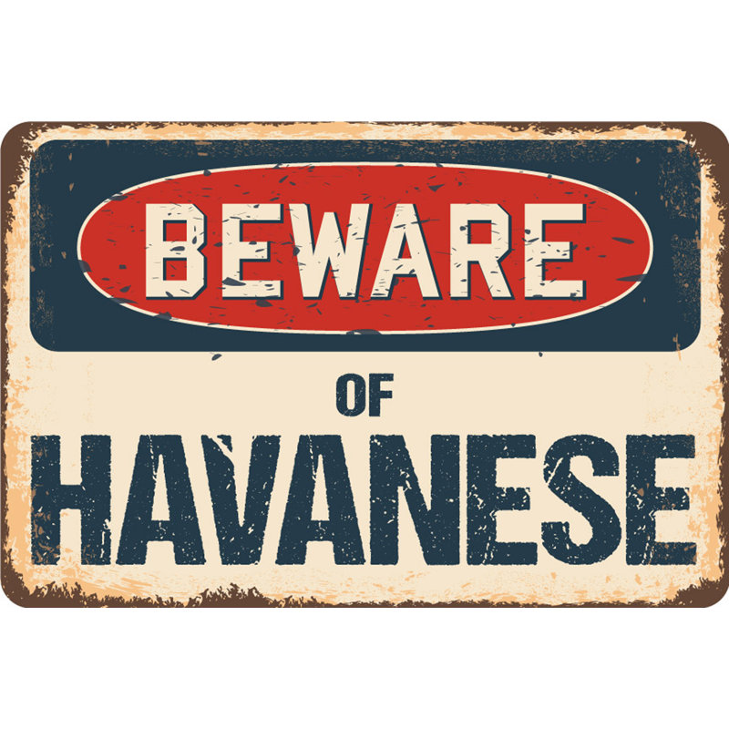 Méfiez-vous des panneaux havanais, H 12 po x l 18 po x P 0,1 po