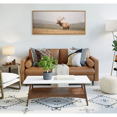Tule Elk No 3 by Crystal Lynn Collins Framed Canvas Wall Art Print