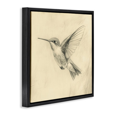 Vintage Hummingbird Sketch Floating Frame, design by Petal Prints Design