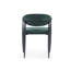 Liam Set of 2 Velvet Dining Chairs-1816287840