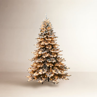 Lighted Spruce Christmas Tree