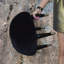 Beetle Accent Stool