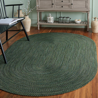 Tapis d'intérieur / extérieur tressé tissé à la main Performance
