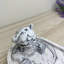 Incense Holder-98233678