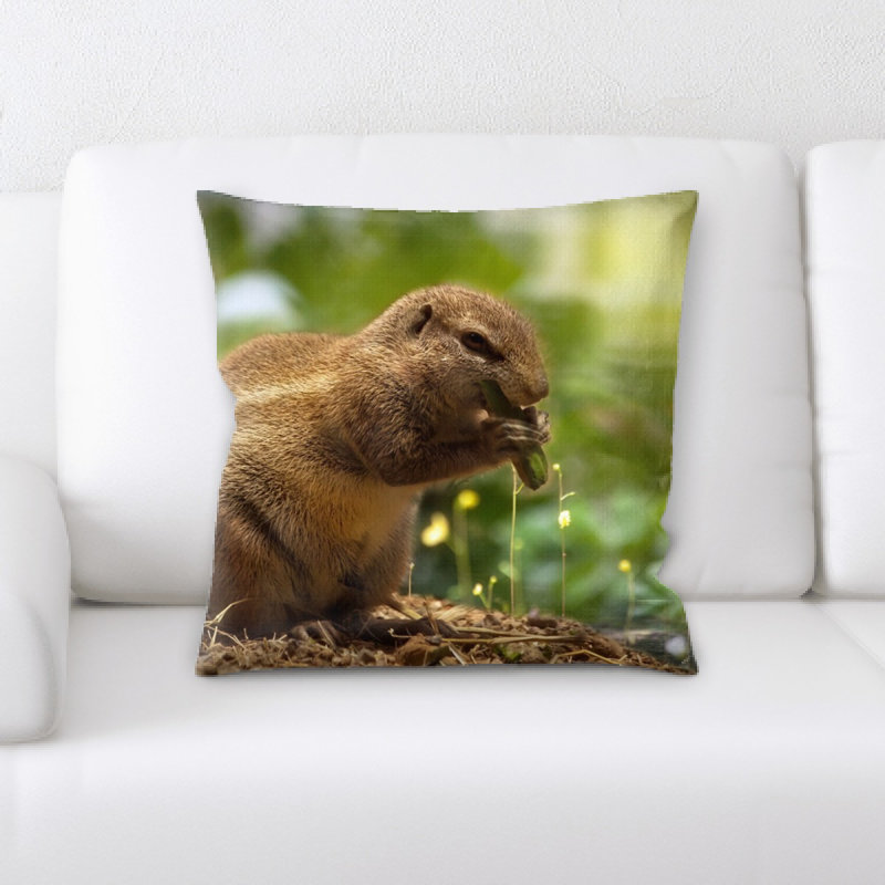 Coussin écureuil