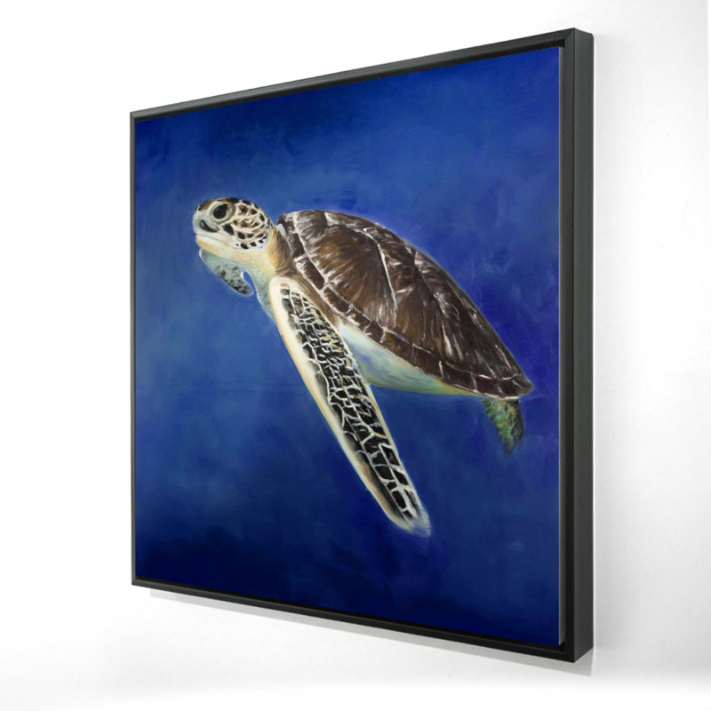 " Beautiful Sea Turtle "