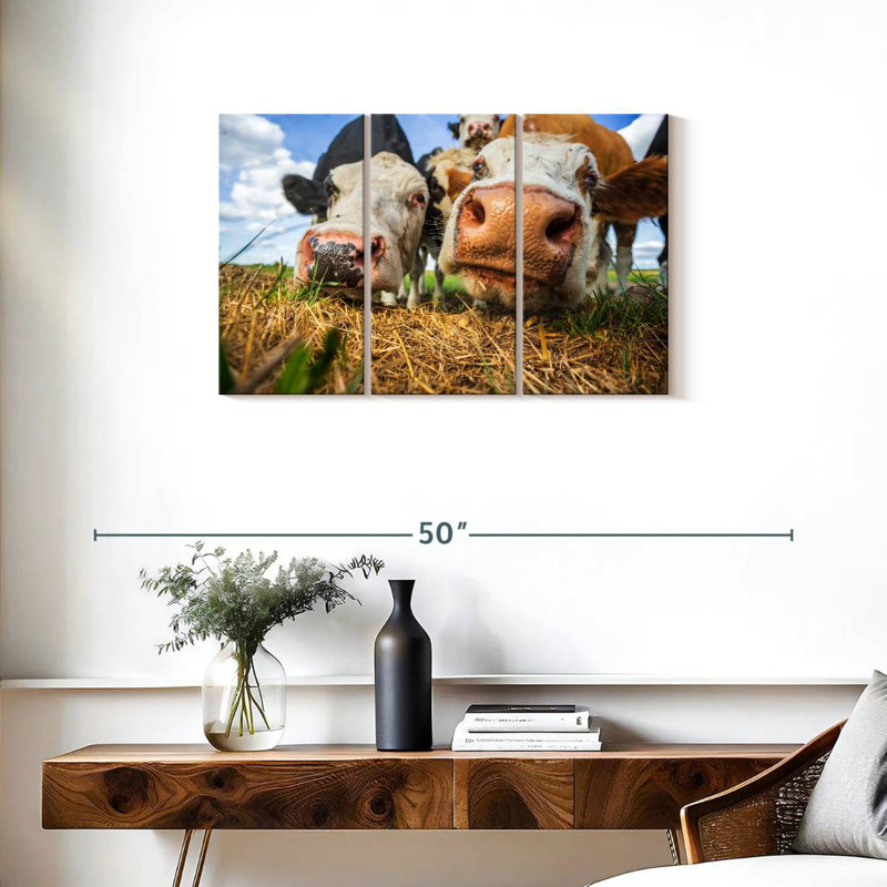 Vaches curieuses Brampt, H 20 po x l 33 po