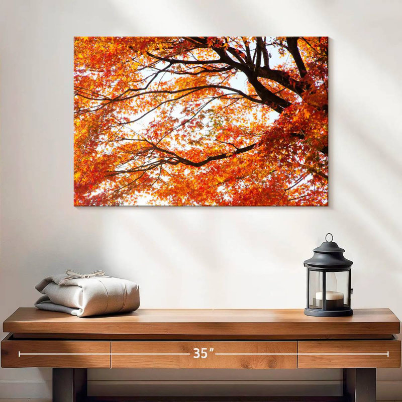 Alvord acer Palmatum en automne, H 16 po x l 24 po
