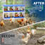 Nesting Boxes-1648550540