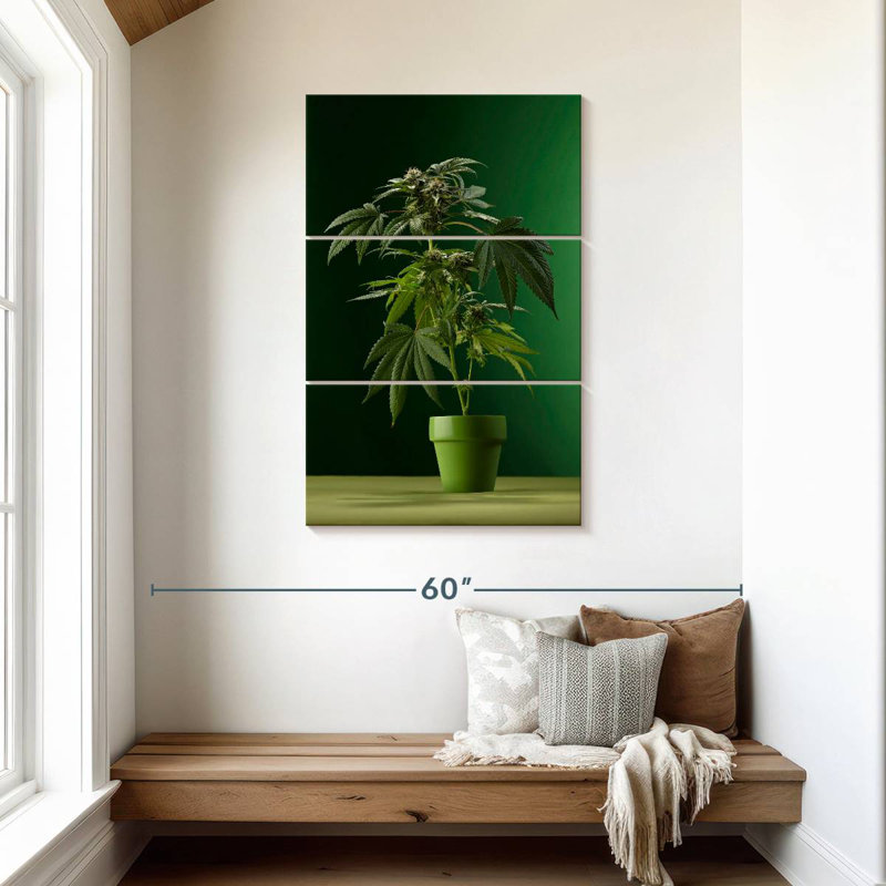 Plante de marihuana en pot Harnek, H 45 po x l 28 po