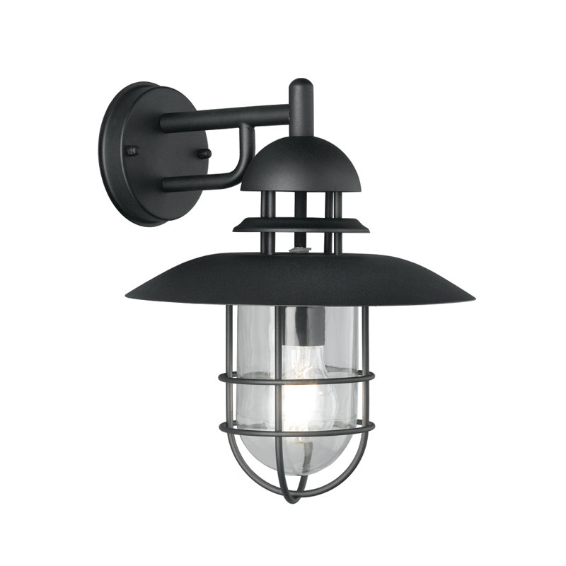 Leticia Black Outdoor Barn Light