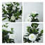 Arbre de camélia artificiel jaune 31 po (ensemble de 2)-2022639717