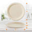 Assiette plate-91040789
