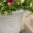 Outdoor Modern Planter