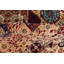 Handwoven High-Quality Light Blue/Red/Navy/Beige Area Rug