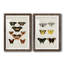 «Vintage Butterflies V», ensemble de 2 impressions encadrées-332732144-332732145