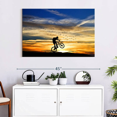 Bicycle Stunt Silhouette