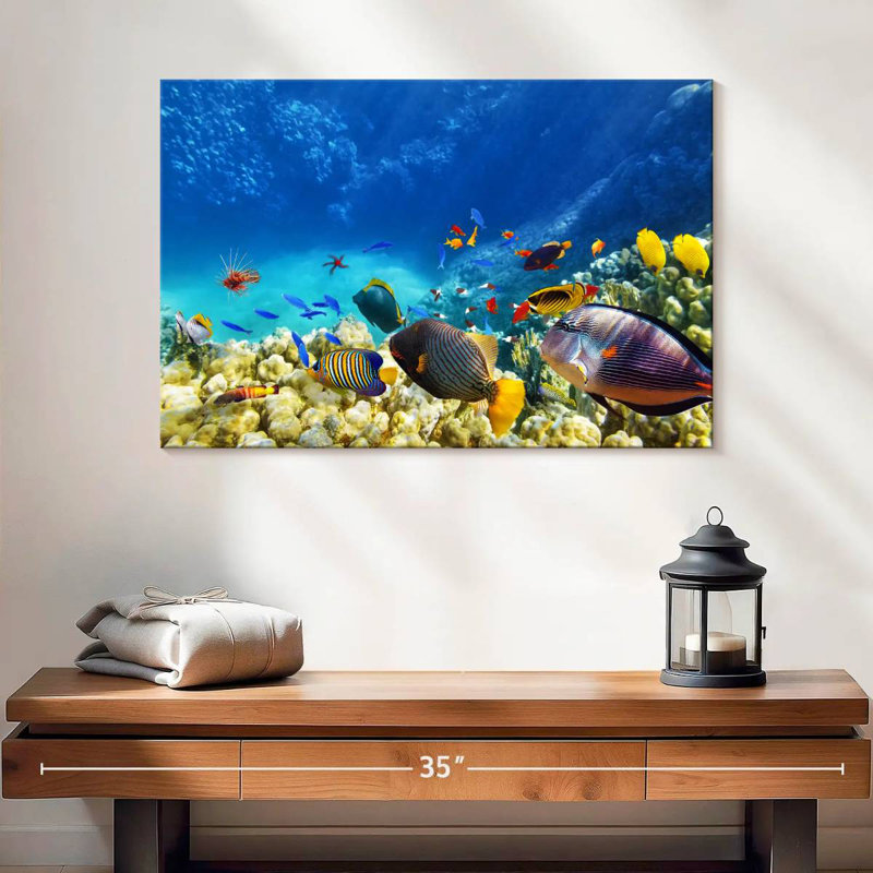 Brampt Marine Life, H 16 po x l 24 po