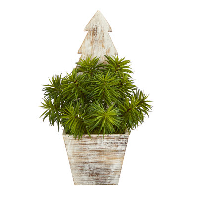 15 " H Faux Succulent
