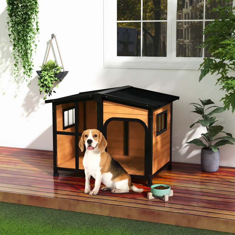 Grande niche pour chien jaune en bois, avec toit ouvrable et - caractéristique pour les grands chiens de maison d'extérieur et d'intérieur