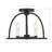 Divina Aleena 3 Light Black Ceiling Mount-1851344617