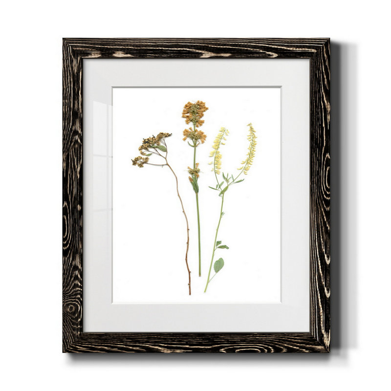 Pressed Botanical III - Cadre photo, reproduction d'art sur papier, H 20 po x l 17 po x P 1,5 po, Noir