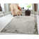 Kailyn Indoor Rug