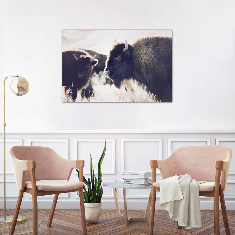 Photographie buffalo, Toile tendue, H 18 po x l 26 po x P 1,5 po