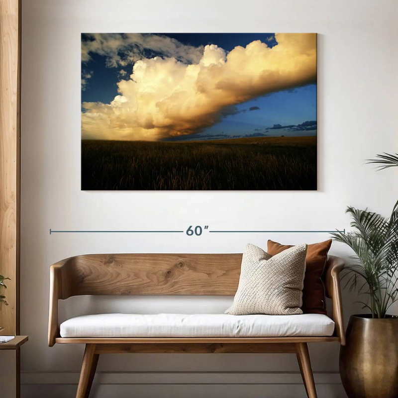 Alvord Theodore Roosevelt Park Clouds, 32" H x 48" W