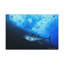 No Frame Print on Canvas-411759467