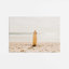 Impression Solitaire Surf II