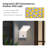 Wall Light Outdoor LED Wall Mount Lamp Wall Sconce with Motion Sensor Lantern Fixture-1151328378
