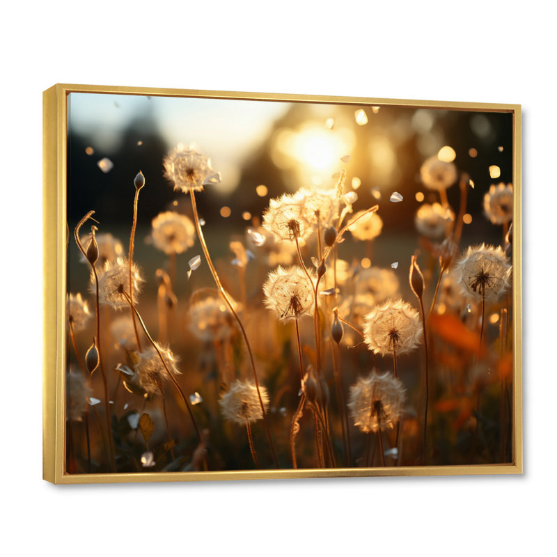 Coucher de soleil pissenlit champ V - décoration murale florale, H 34 po x l 44 po x P 1,5 po, Cadre flottant doré
