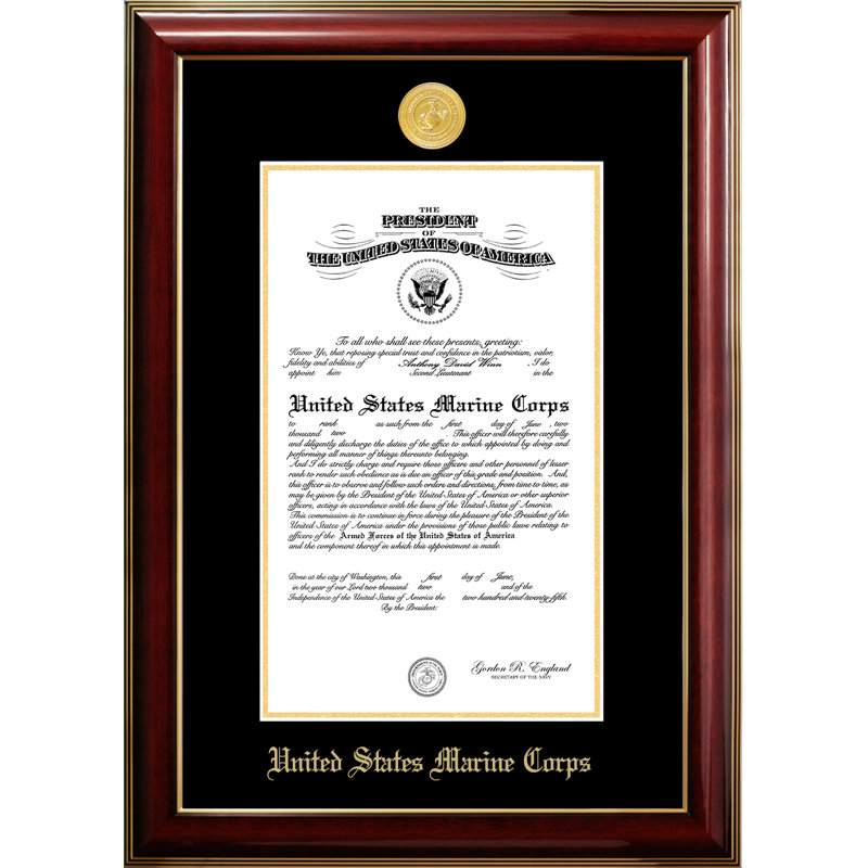 Marine Certificate Classic Picture Frame, 9" x 14", Gold/Burgundy/Black