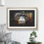 Orangutan Monkey Vol.1 - Picture Frame Painting-62808688-62808693